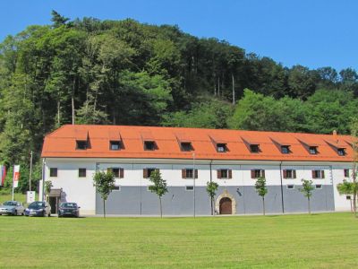 PZA ROGATEC