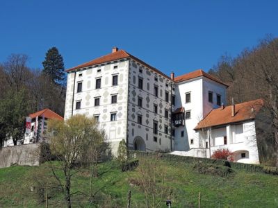 PZA ROGATEC