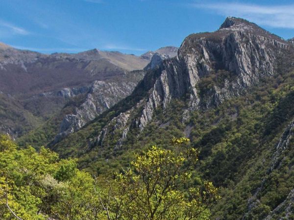 PAKLENICA TRAIL 22. 5. 2021